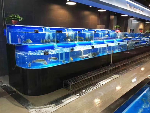 酒楼海鲜池