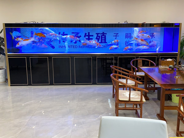 办公室鱼缸