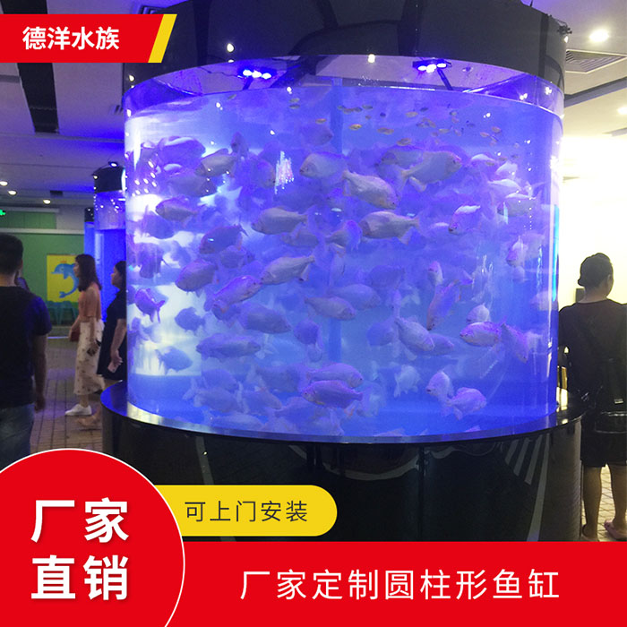 圆柱形鱼缸