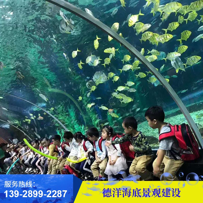 海底景观建设