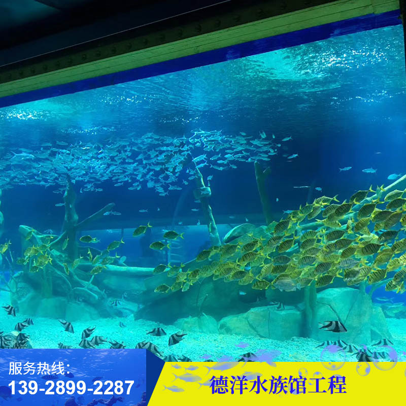 水族馆工程