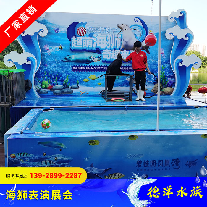 海狮表演展会