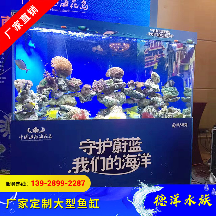 海洋生物水族主题活动策划