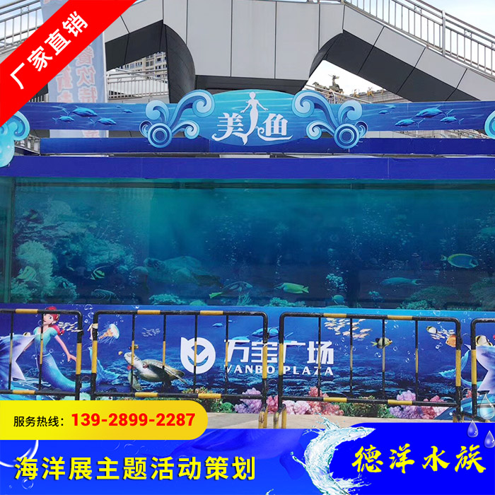 海洋展主题活动策划