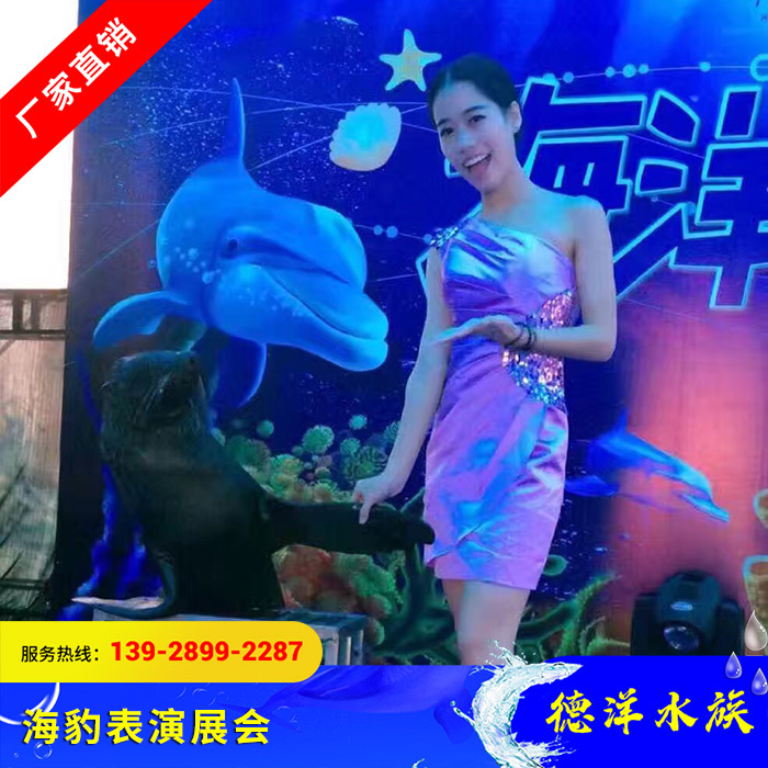 海豹表演展会
