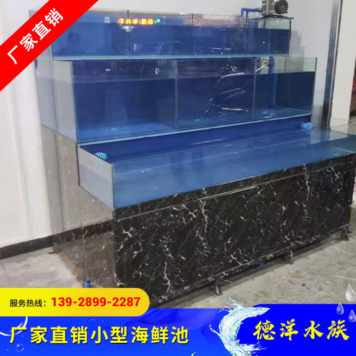 小型海鲜池