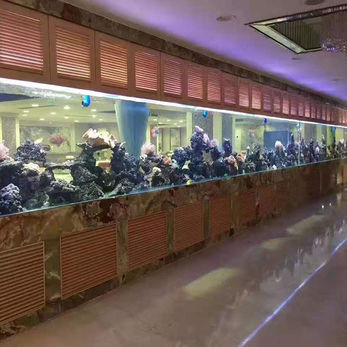 鱼缸