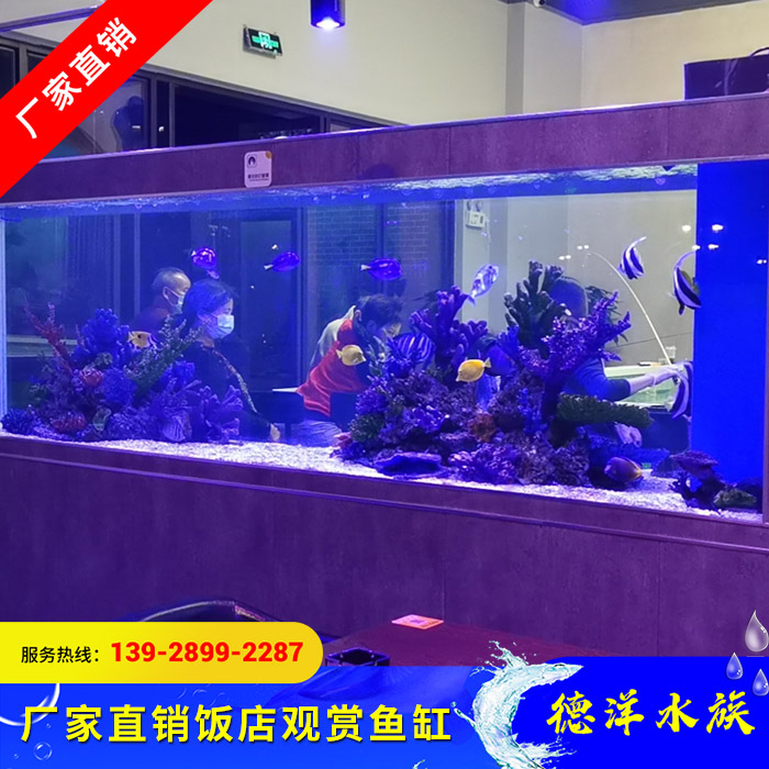 大型鱼缸